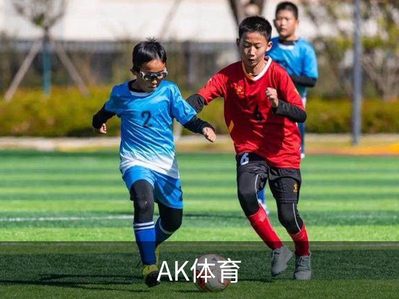 AK体育品牌故事
